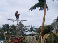 2009068327 Cocoa Beach - Florida