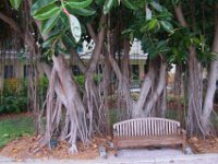 2009068330 Cocoa Beach - Florida