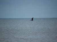 2009068352 Cocoa Beach - Florida