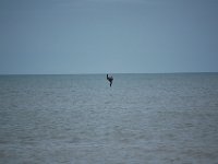 2009068353 Cocoa Beach - Florida