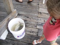 2009068393 Cocoa Beach - Florida