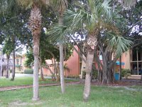 2009068438 Cocoa Beach - Florida