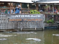 2009067049 Gatorland - Orlando - Florida