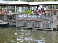 2009067050 Gatorland - Orlando - Florida