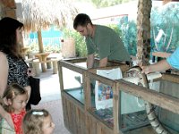 2009067087 Gatorland - Orlando - Florida