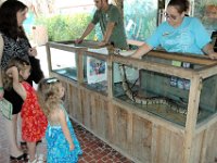 2009067088 Gatorland - Orlando - Florida