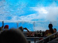 2009067188 Sea World - Orlando - Florida