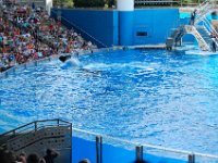 2009067192 Sea World - Orlando - Florida