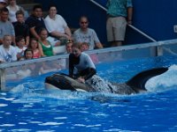 2009067193 Sea World - Orlando - Florida