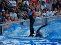 2009067194 Sea World - Orlando - Florida