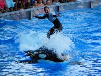 2009067195 Sea World - Orlando - Florida