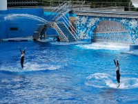 2009067203 Sea World - Orlando - Florida