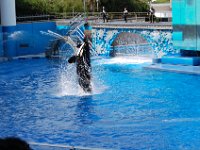 2009067210 Sea World - Orlando - Florida