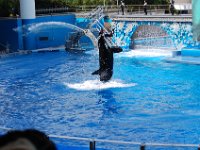 2009067211 Sea World - Orlando - Florida