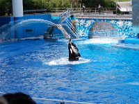 2009067212 Sea World - Orlando - Florida