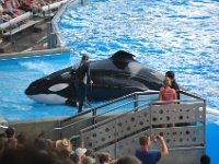 2009067220 Sea World - Orlando - Florida