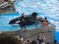 2009067221 Sea World - Orlando - Florida