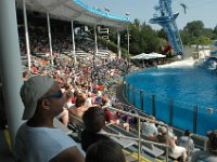 2009067251 Sea World - Orlando - Florida