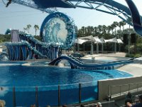 2009067262 Sea World - Orlando - Florida