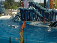 2009067279 Sea World - Orlando - Florida