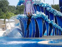 2009067322 Sea World - Orlando - Florida