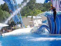 2009067329 Sea World - Orlando - Florida