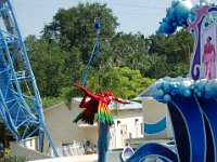 2009067341 Sea World - Orlando - Florida