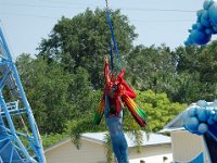 2009067344 Sea World - Orlando - Florida