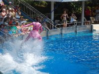 2009067352 Sea World - Orlando - Florida