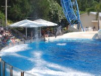 2009067355 Sea World - Orlando - Florida