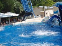 2009067358 Sea World - Orlando - Florida