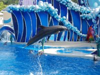 2009067362 Sea World - Orlando - Florida