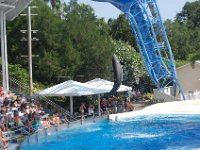 2009067363 Sea World - Orlando - Florida