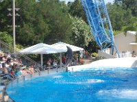 2009067364 Sea World - Orlando - Florida