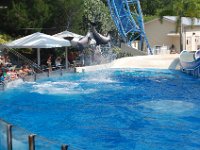 2009067367 Sea World - Orlando - Florida