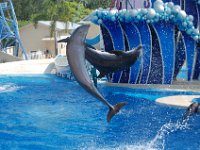 2009067371 Sea World - Orlando - Florida