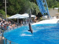 2009067374 Sea World - Orlando - Florida