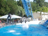 2009067375 Sea World - Orlando - Florida