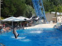 2009067376 Sea World - Orlando - Florida