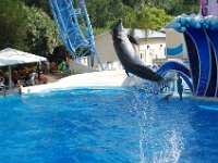 2009067377 Sea World - Orlando - Florida