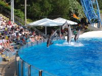 2009067385 Sea World - Orlando - Florida