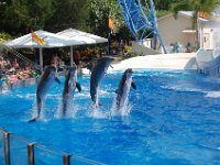 2009067386 Sea World - Orlando - Florida