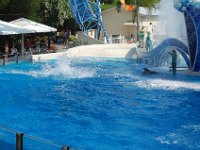 2009067390 Sea World - Orlando - Florida