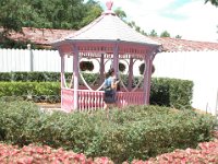 2009068298 Disney World - Orlando - Florida : Betty Hagberg