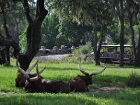 2011061623 Angela-Isabella-Alexander Jones - Disney World - Buena Vista FL