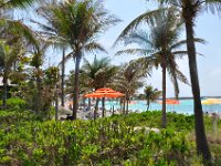 2013032144 Angela-Bella-Alex-Darla- Jones Betty-Darrel Hagberg Dream Cruise Ship - Castaway Cay - Bahamas - Mar 23