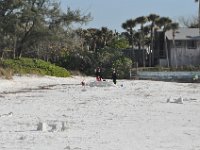 2013031058 Angela-Bella-Alex-Darla- Jones Betty-Darrel Hagberg Pat-Daryl Kenney - South Florida Museum and Siesta Key - Feb 15