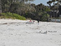 2013031059 Angela-Bella-Alex-Darla- Jones Betty-Darrel Hagberg Pat-Daryl Kenney - South Florida Museum and Siesta Key - Feb 15