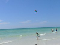 2013031179 Angela-Bella-Alex-Darla- Jones Betty-Darrel Hagberg Pat-Daryl Kenney - South Florida Museum and Siesta Key - Feb 16