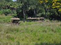 2015067539 Disneys Animal Kingdom - Orlando FL - Jun 09